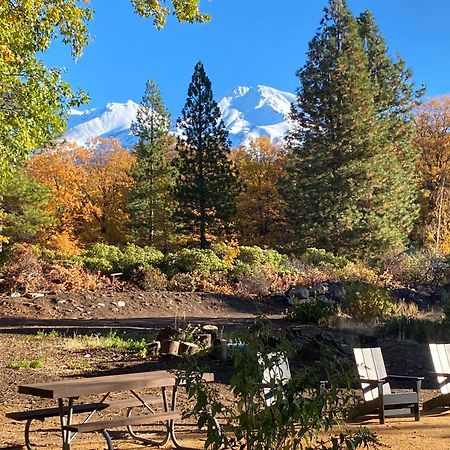 Basecamp Lodge Mount Shasta Esterno foto